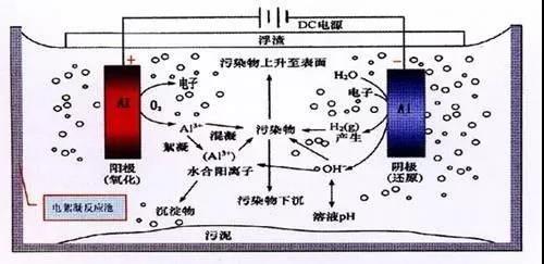 我買了一個甲醛檢測儀，吹口氣后發(fā)現原來我才是“地表最強”污染源！