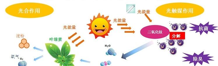 甲醛治理用什么辦法最正確？這三點常見的除甲醛辦法其實是誤區(qū)