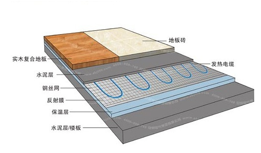 冬季，它們成了甲醛的幫兇