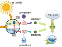 什么甲醛治理辦法效果好持續(xù)時間長？