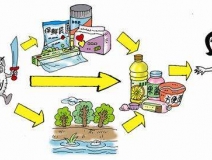 食品中有塑化劑嗎？這些食品中含有大量塑化劑，食用時一定要注意！