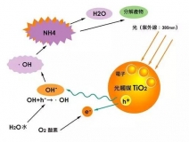 現(xiàn)在光觸媒的價(jià)格是多少？