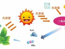 家中甲醛超標(biāo)，什么才是甲醛治理的正確姿勢(shì)？