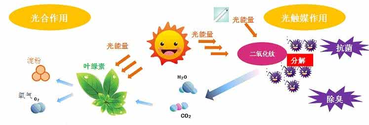 家中甲醛超標，什么才是甲醛治理的正確姿勢？